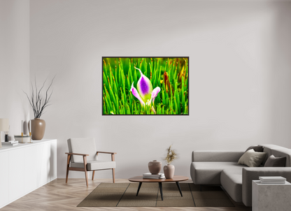 60 x 40″, Floater Frame Alder Brown Maverick