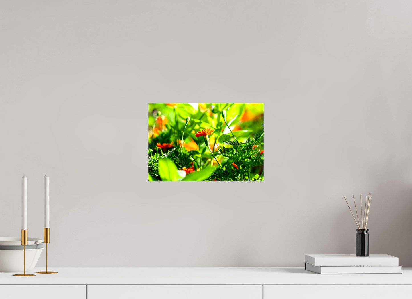 12 x 8″, Glossy Canvas Prominence