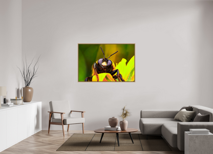 54 x 36″, Floater Frame Natural Oak The Curious Bumblebee