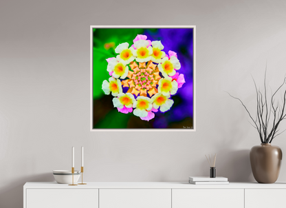 30 x 30″, Floater Frame Maple White Quintessence
