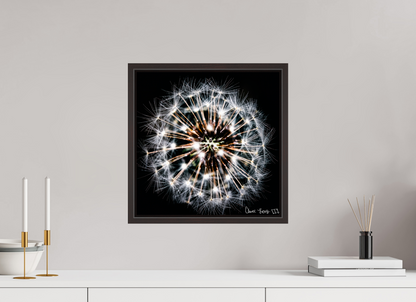 15 x 15″, Floater Frame Alder Brown Starburst