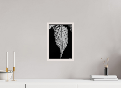 8 x 12″, Floater Frame Maple White Reticulate Venation