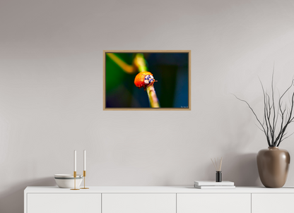 24 x 16″, Floater Frame Natural Oak Dew-Kissed Ladybug