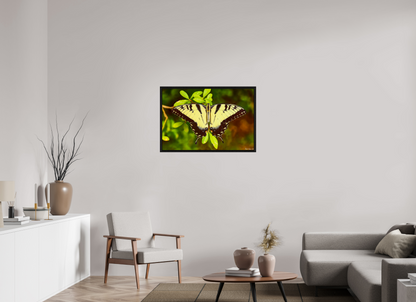 36 x 24″, Floater Frame Black Oak Angel's Landing
