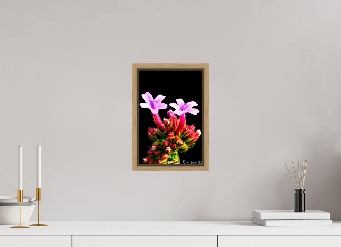 8 x 12″, Floater Frame Natural Oak Vebena Bonariensis Pair