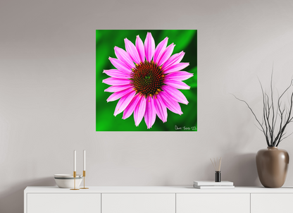 30 x 30″, Matte Metal Icosidigon