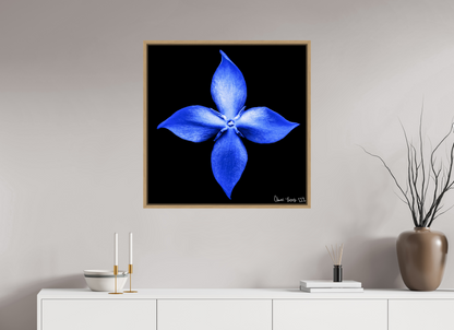 30 x 30″, Floater Frame Natural Oak Halcyon Compass