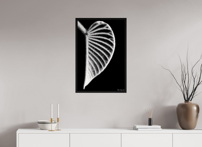 20 x 30″, Floater Frame Black Oak Onyx Organ