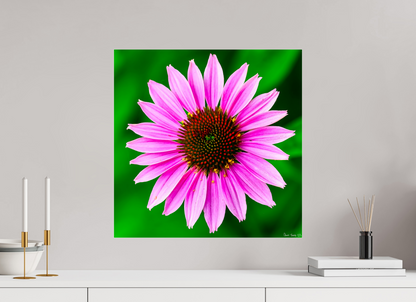 20 x 20″, Acrylic Icosidigon