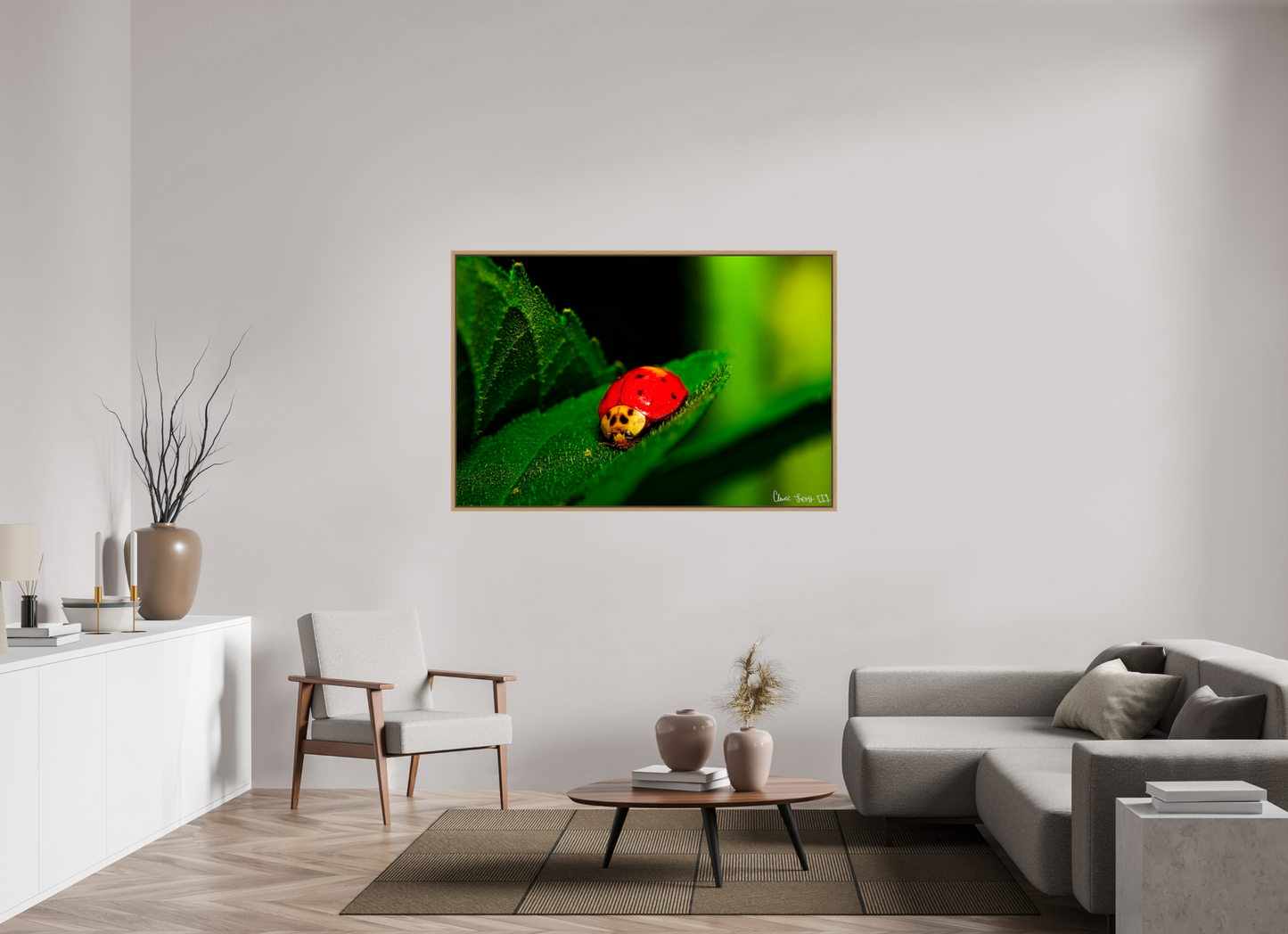 60 x 40″, Floater Frame Natural Oak Our Lady Bird