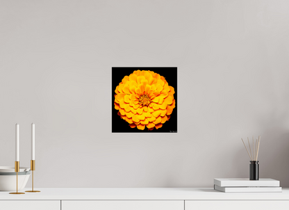 10 x 10″, Glossy Metal Midnight Sun
