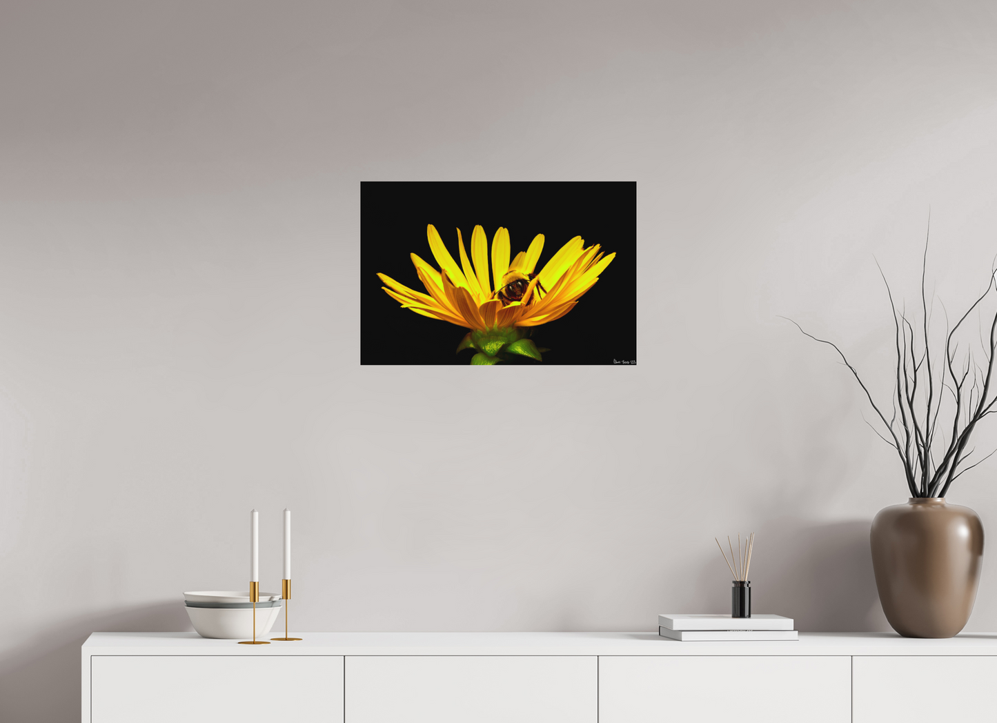 24 x 16″, Forex Sweet Dreams