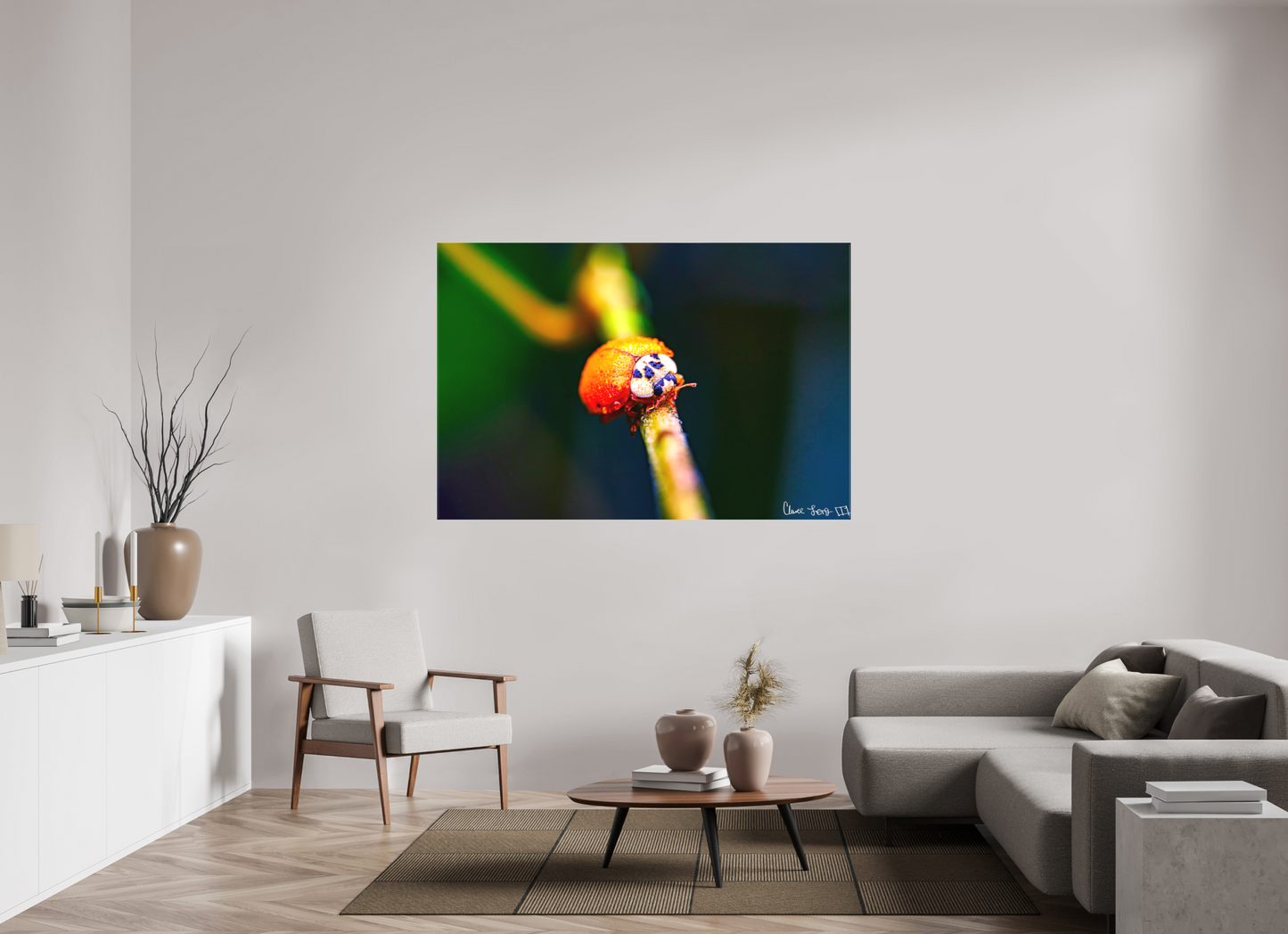 66 x 44″, Matte Canvas Dew-Kissed Ladybug