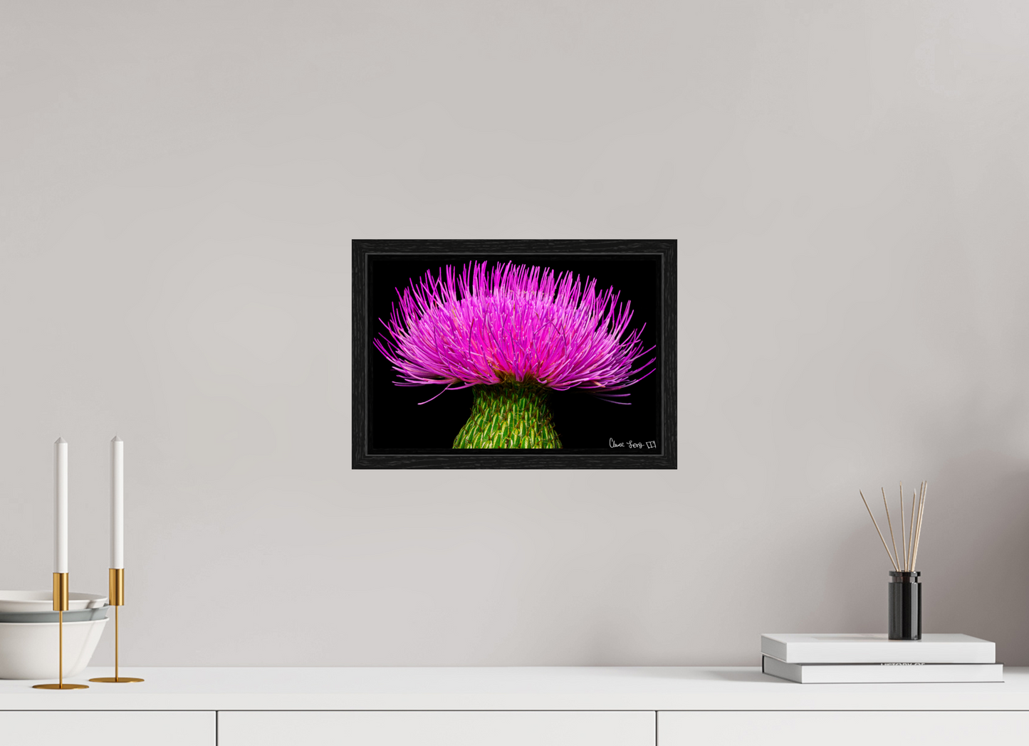 12 x 8″, Floater Frame Black Oak Silybum