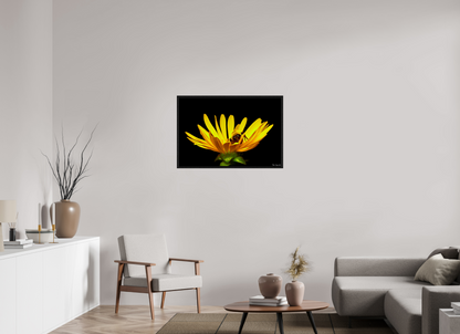 36 x 24″, Floater Frame Black Oak Sweet Dreams