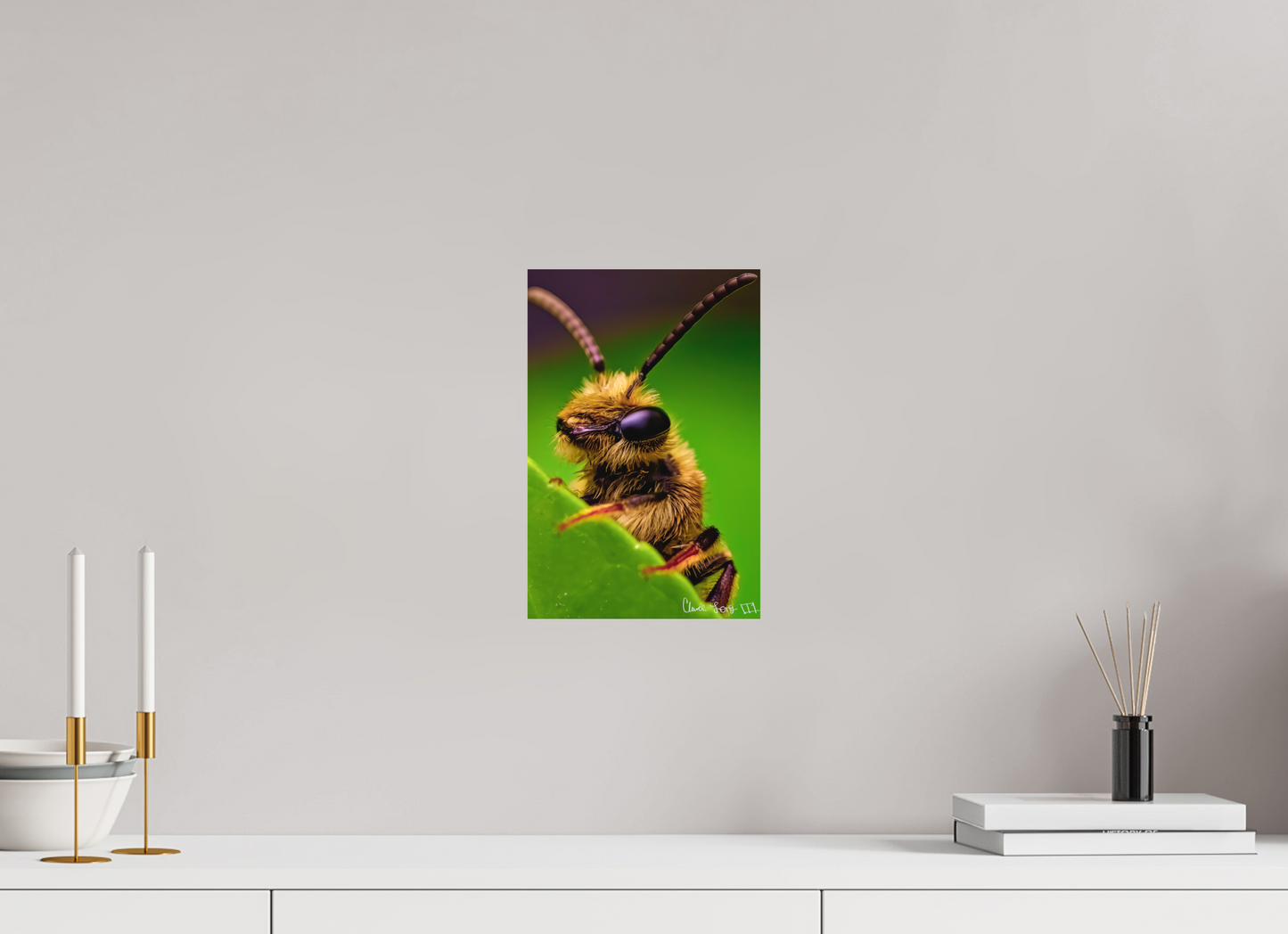 8 x 12″, Matte Metal The Cutest Bee