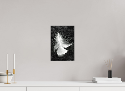 8 x 12″, Glossy Canvas Feather On Ice