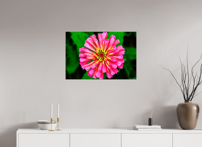 30 x 20″, Glossy Canvas Peach Summer