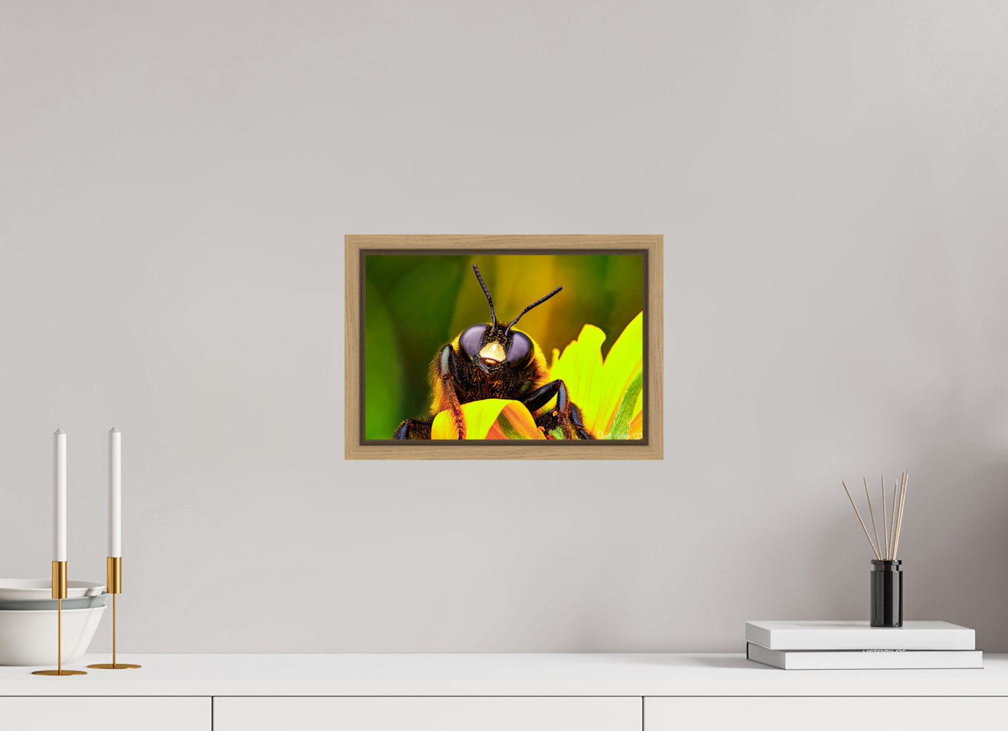 12 x 8″, Floater Frame Natural Oak The Curious Bumblebee