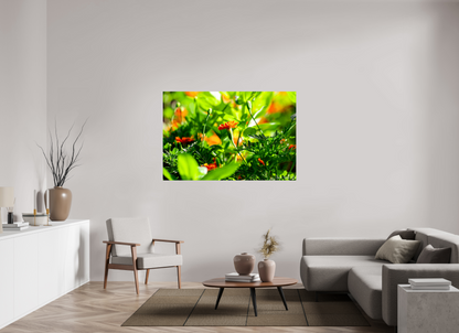 60 x 40″, Glossy Metal Prominence