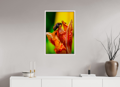 20 x 30″, Floater Frame Maple White Perched Grave