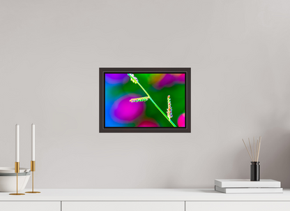 12 x 8″, Floater Frame Alder Brown Technicolor Vibes
