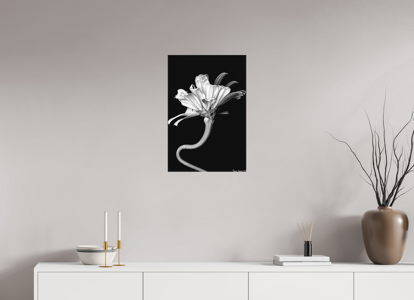 16 x 24″, Matte Canvas Kingsnake’s Florescence