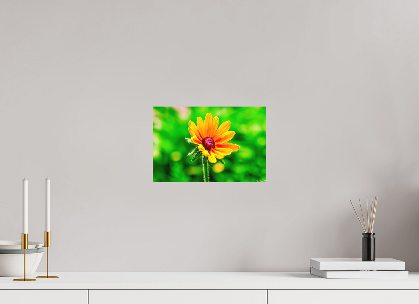 12 x 8″, Matte Metal Stillness in the Blur