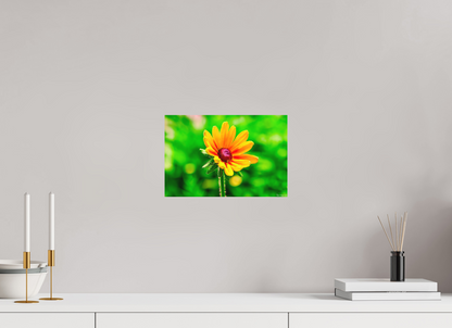 12 x 8″, Matte Metal Stillness in the Blur