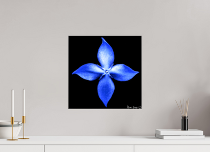 15 x 15″, Glossy Canvas Halcyon Compass