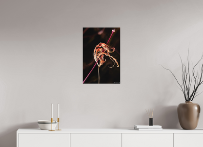 16 x 24″, Matte Metal Impaled