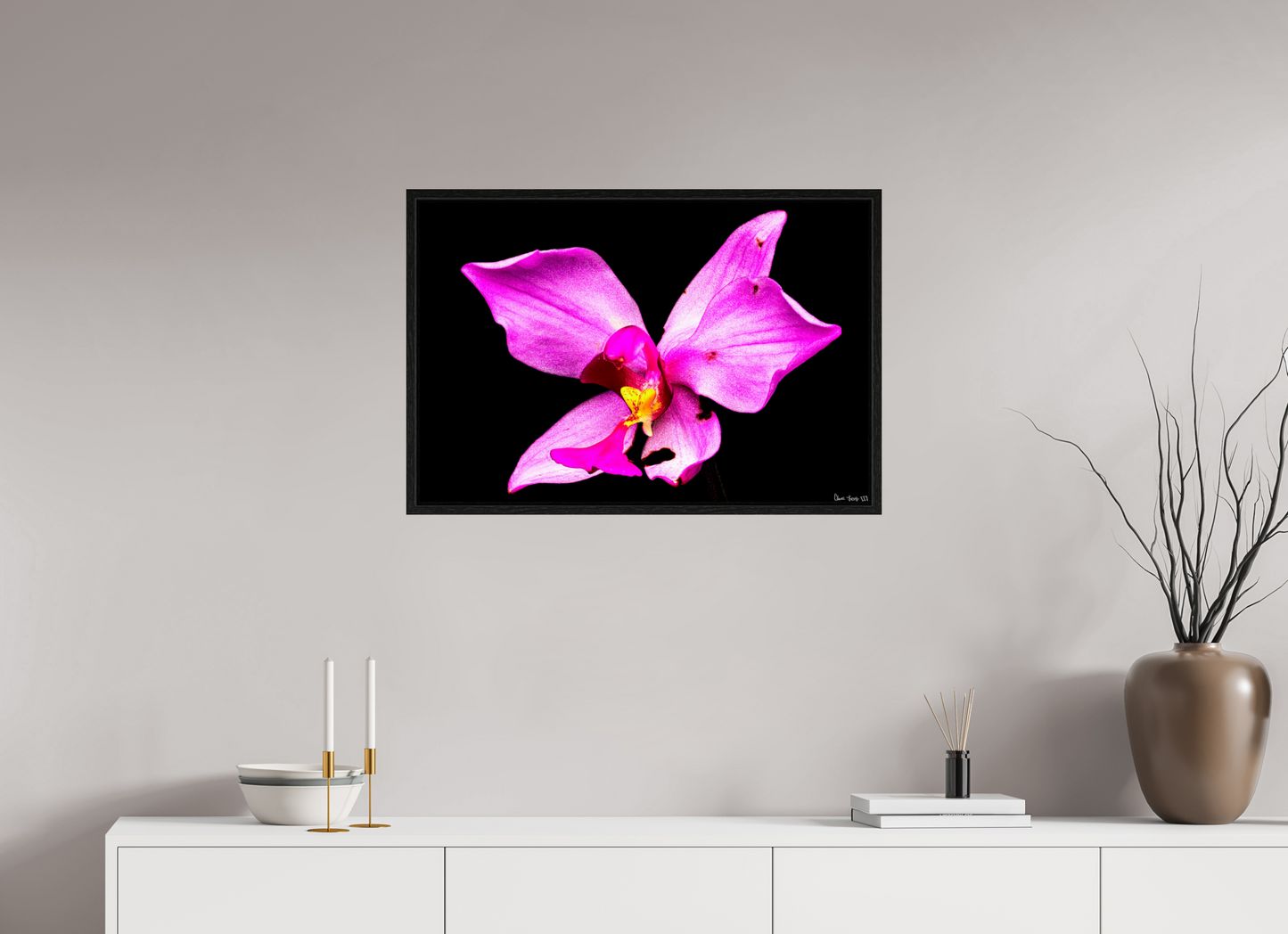30 x 20″, Floater Frame Black Oak Efflorescence