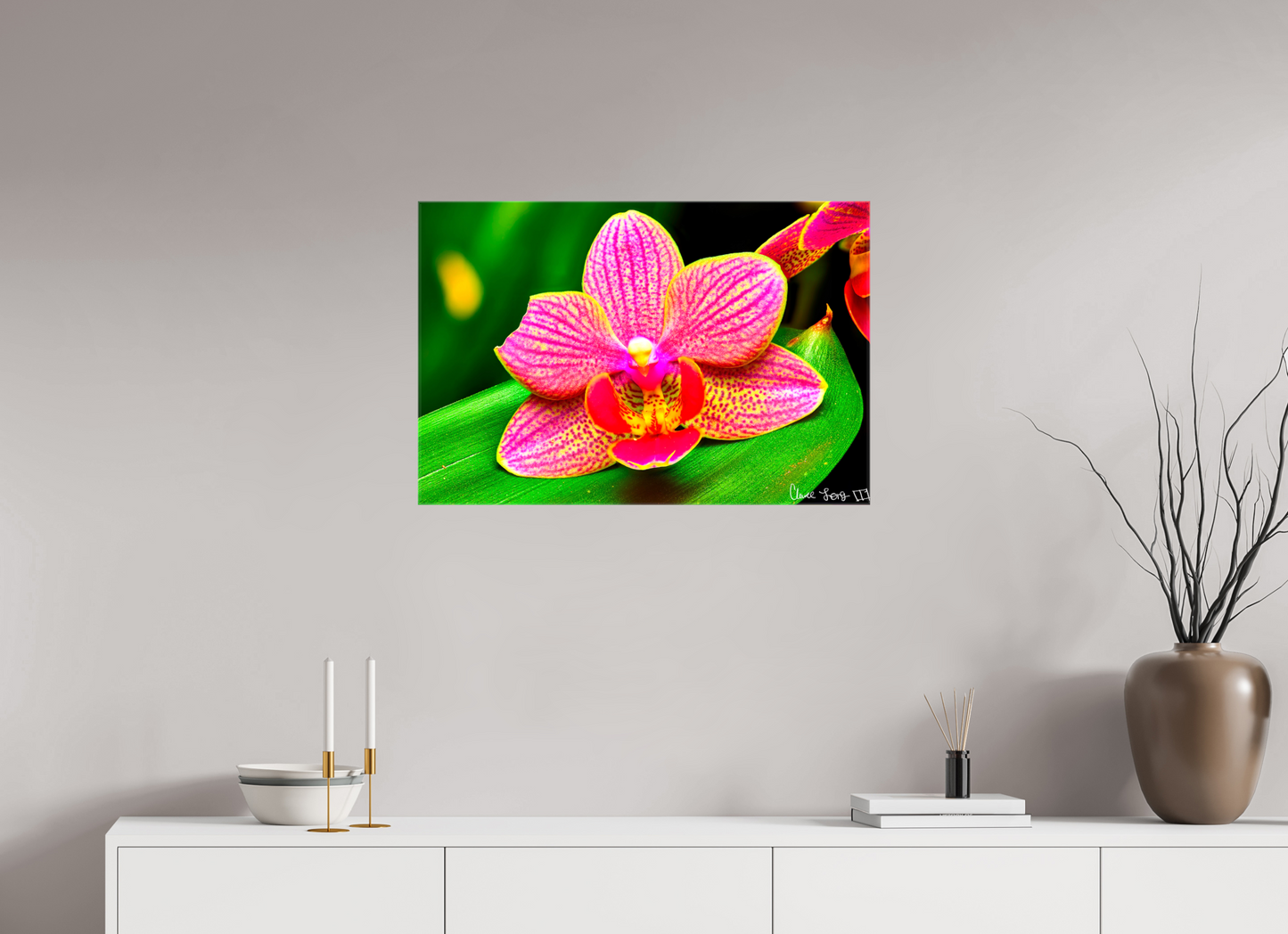 30 x 20″, Glossy Canvas Vigorous Orchid