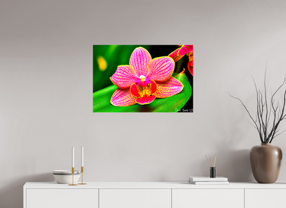 30 x 20″, Glossy Canvas Vigorous Orchid