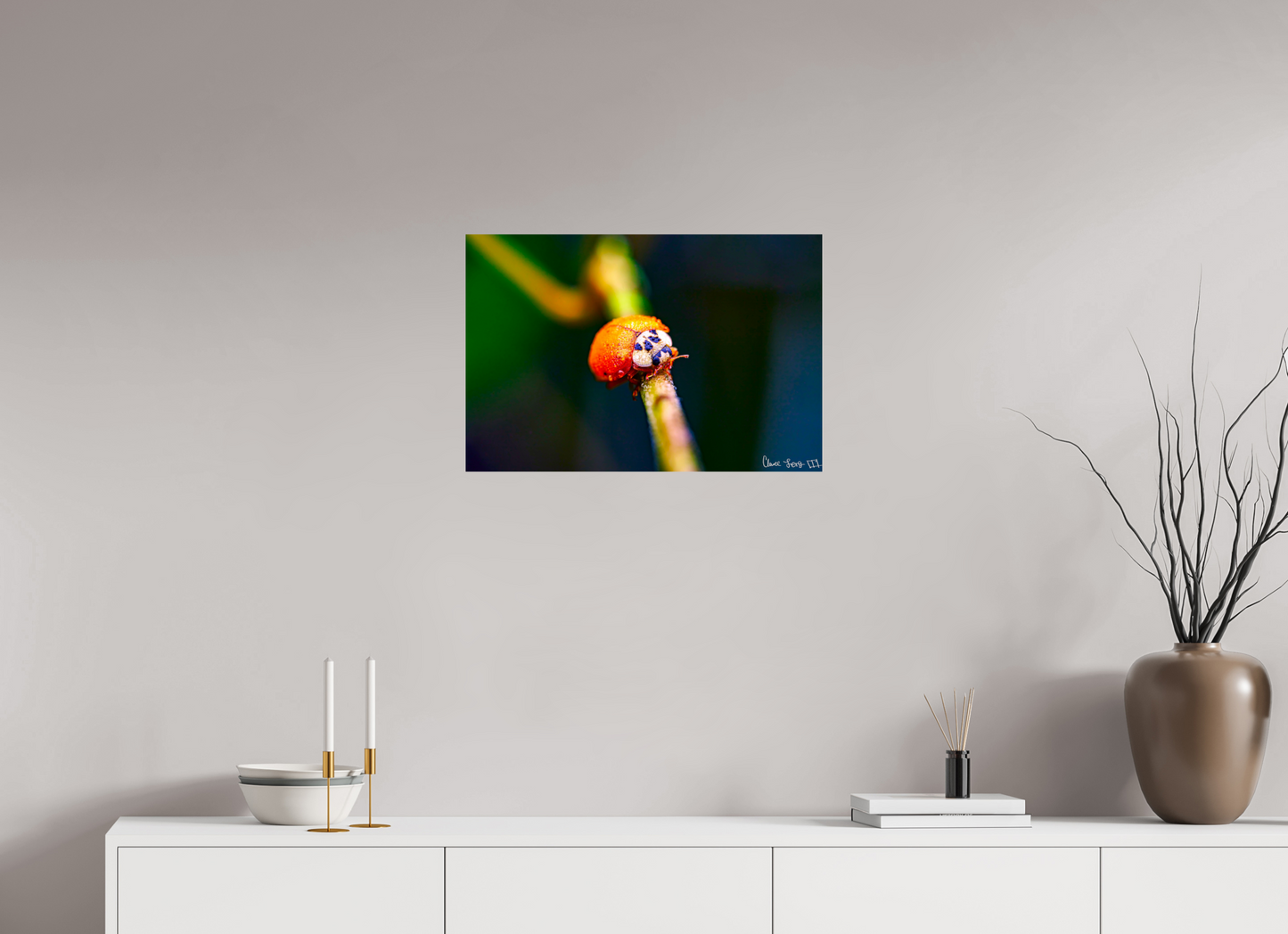 24 x 16″, Glossy Metal Dew-Kissed Ladybug