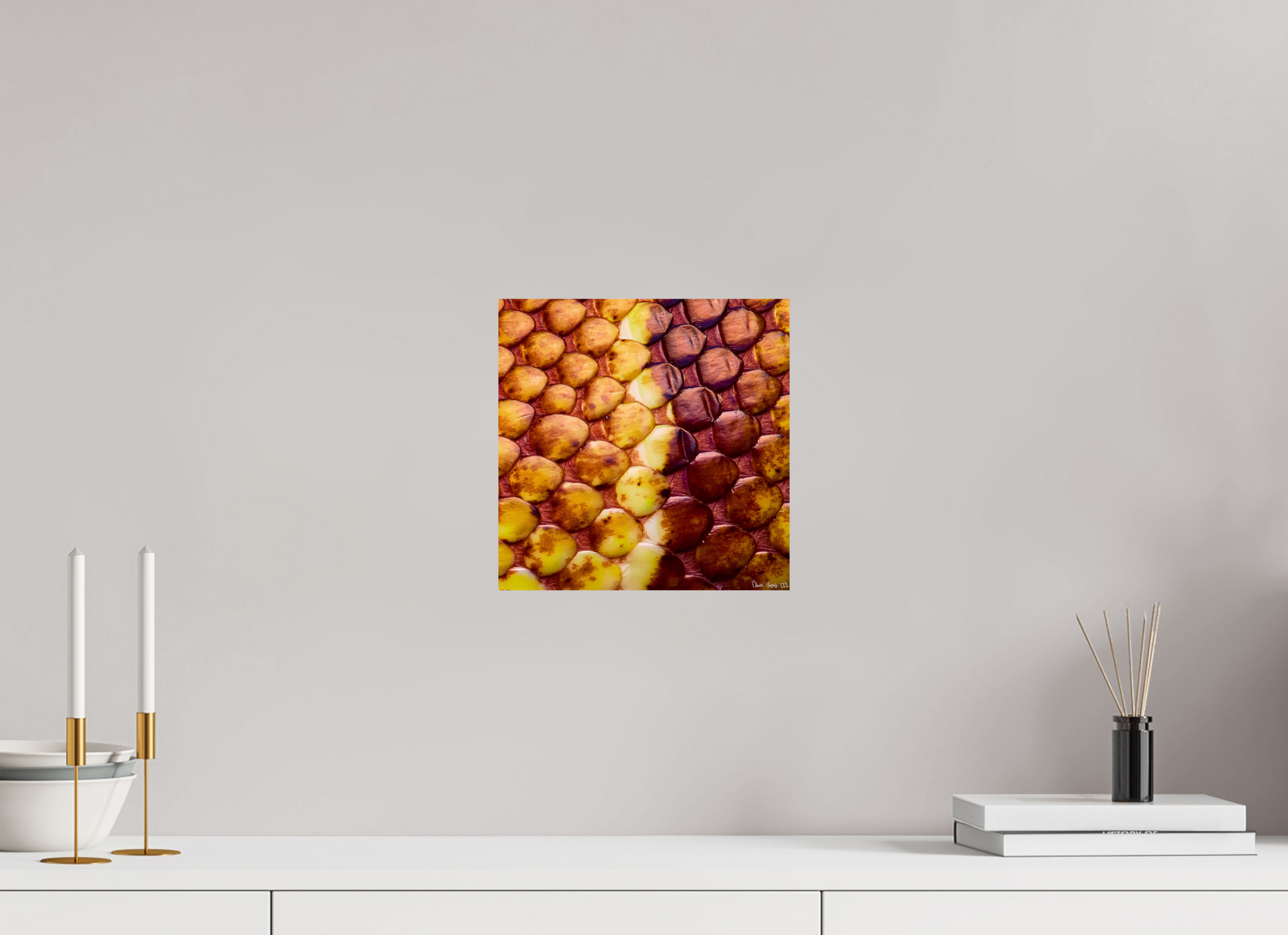 10 x 10″, Glossy Metal Reptilian Divide