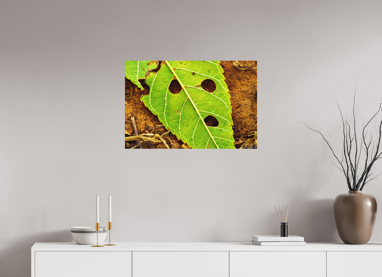 30 x 20″, Matte Metal Flabbergasted
