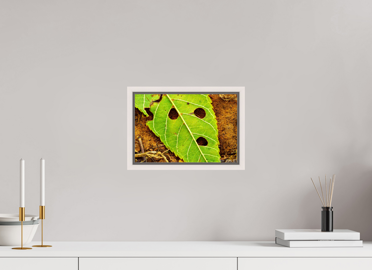 12 x 8″, Floater Frame Maple White Flabbergasted