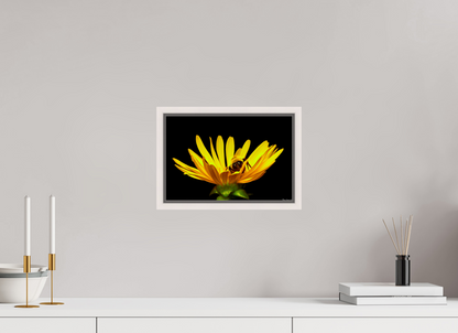 12 x 8″, Floater Frame Maple White Sweet Dreams