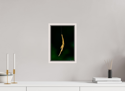 8 x 12″, Floater Frame Maple White Nature’s Tether