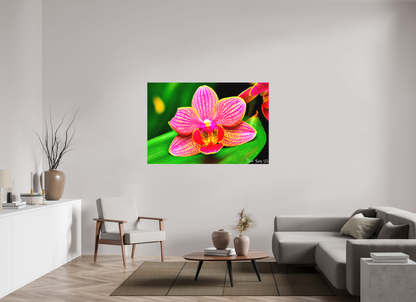 60 x 40″, Matte Canvas Vigorous Orchid