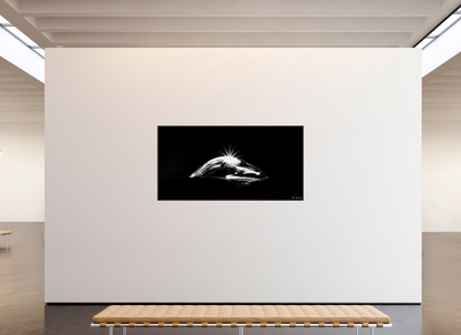 78 x 39″, Floater Frame Black Oak Starry Mountain