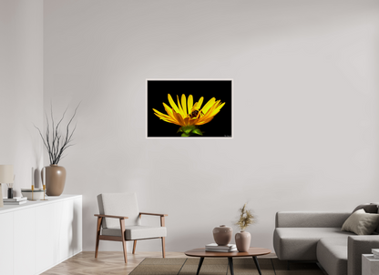 36 x 24″, Floater Frame Maple White Sweet Dreams