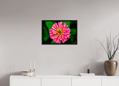 24 x 16″, Floater Frame Black Oak Peach Summer