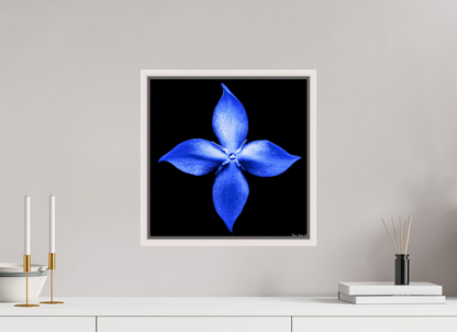 15 x 15″, Floater Frame Maple White Halcyon Compass
