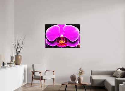 45 x 30″, Matte Canvas Magnificence