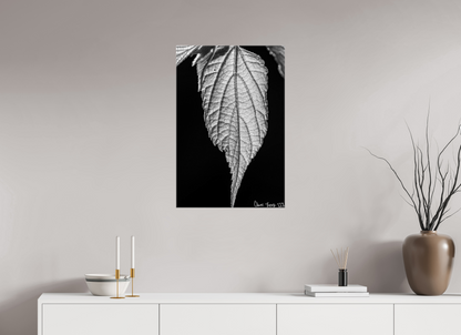 20 x 30″, Glossy Canvas Reticulate Venation