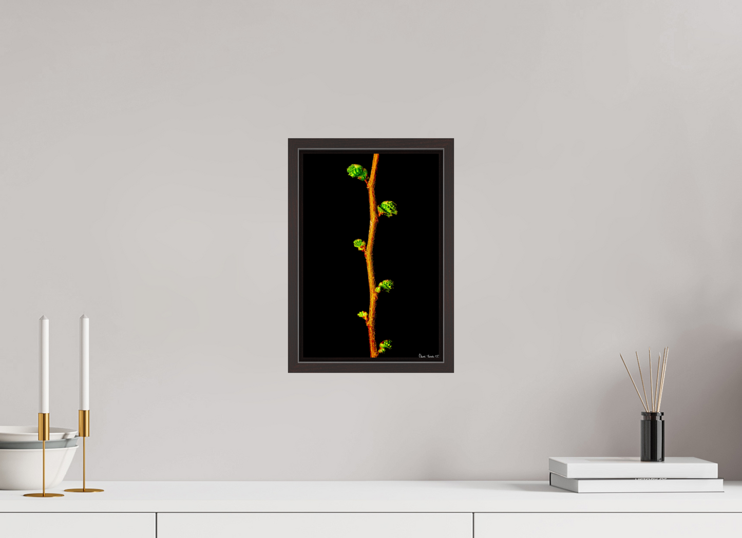 8 x 12″, Floater Frame Alder Brown The Ladder of Life