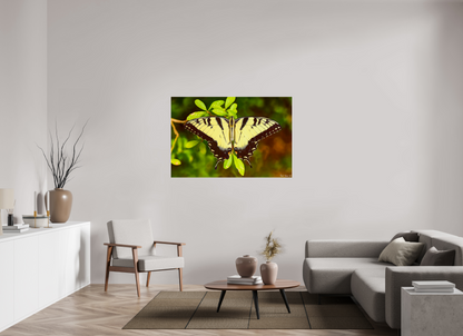 54 x 36″, Photo Print on Aluminum Backing Angel's Landing