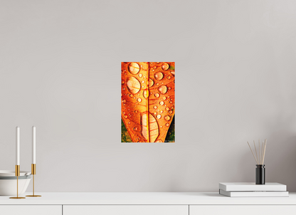 8 x 12″, Matte Metal Transparency